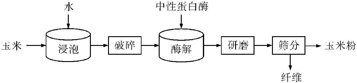 5.2 玉米主食專用粉酶法改良技術(shù)